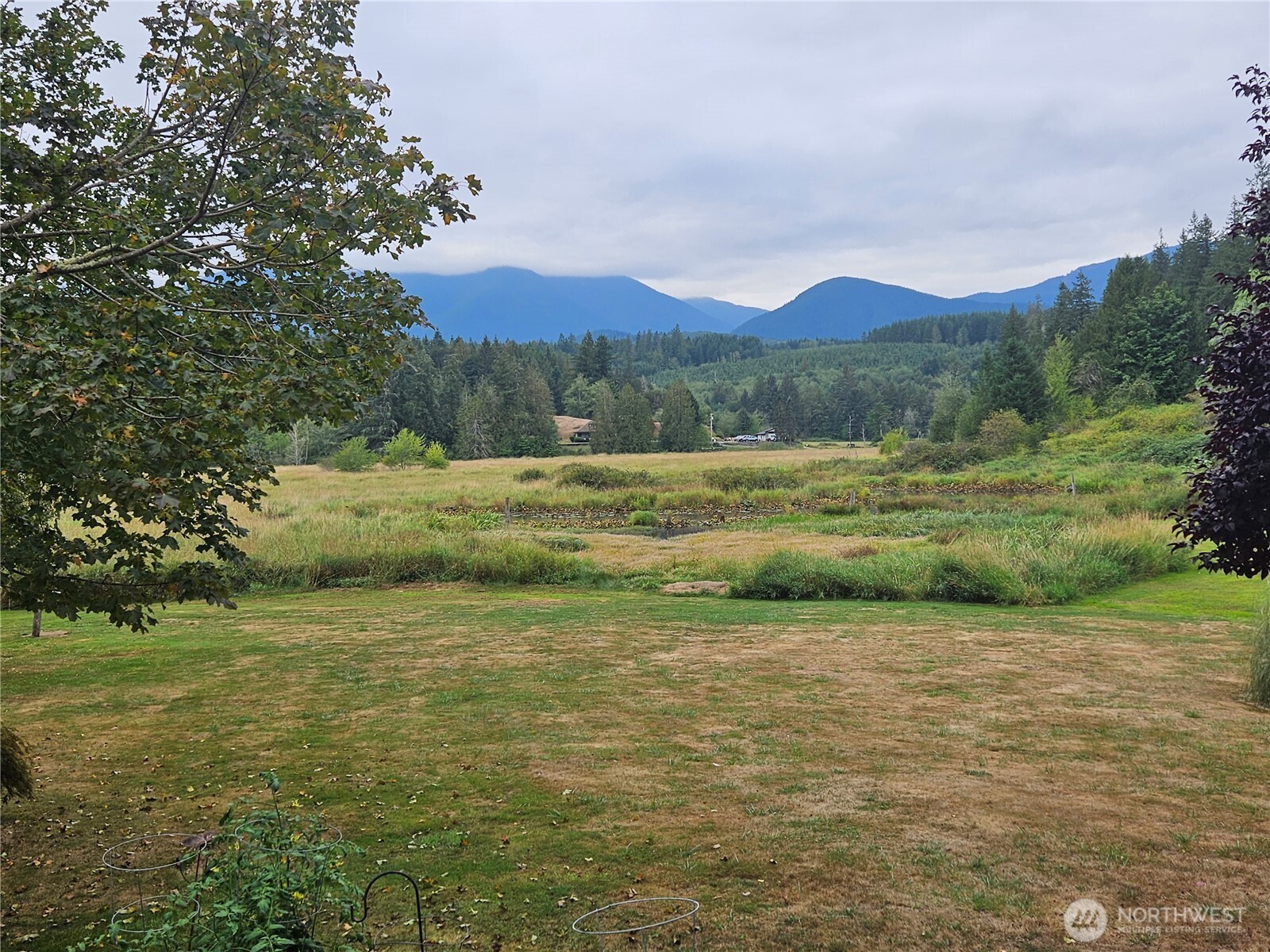 50 Leland Cut-Off Road Quilcene, WA 98376 - Photo 5 of 23 a view of a field with an trees