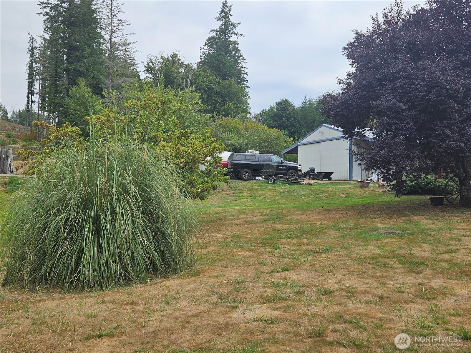 50 Leland Cut-Off Road Quilcene, WA 98376 - Photo 10 of 23 a view of a yard with an trees