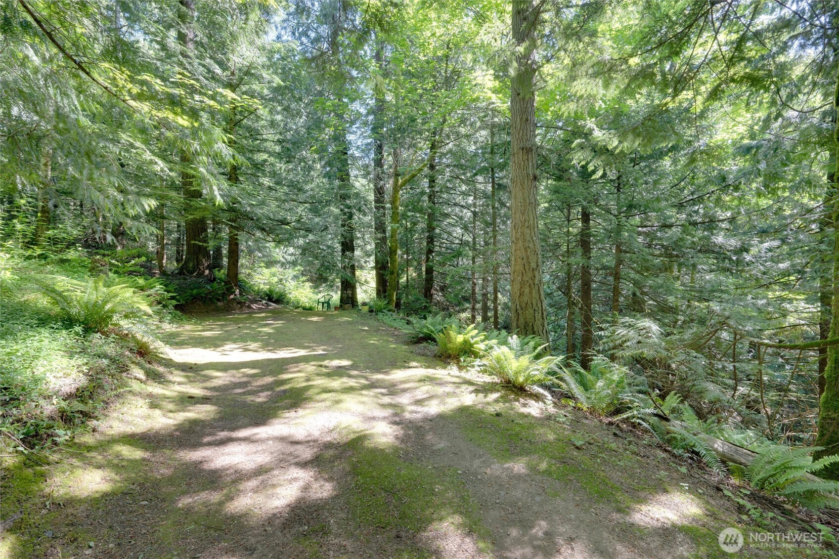 4315 Nordum Road Everson, WA 98247 - Photo 2 of 40 a view of a forest with trees