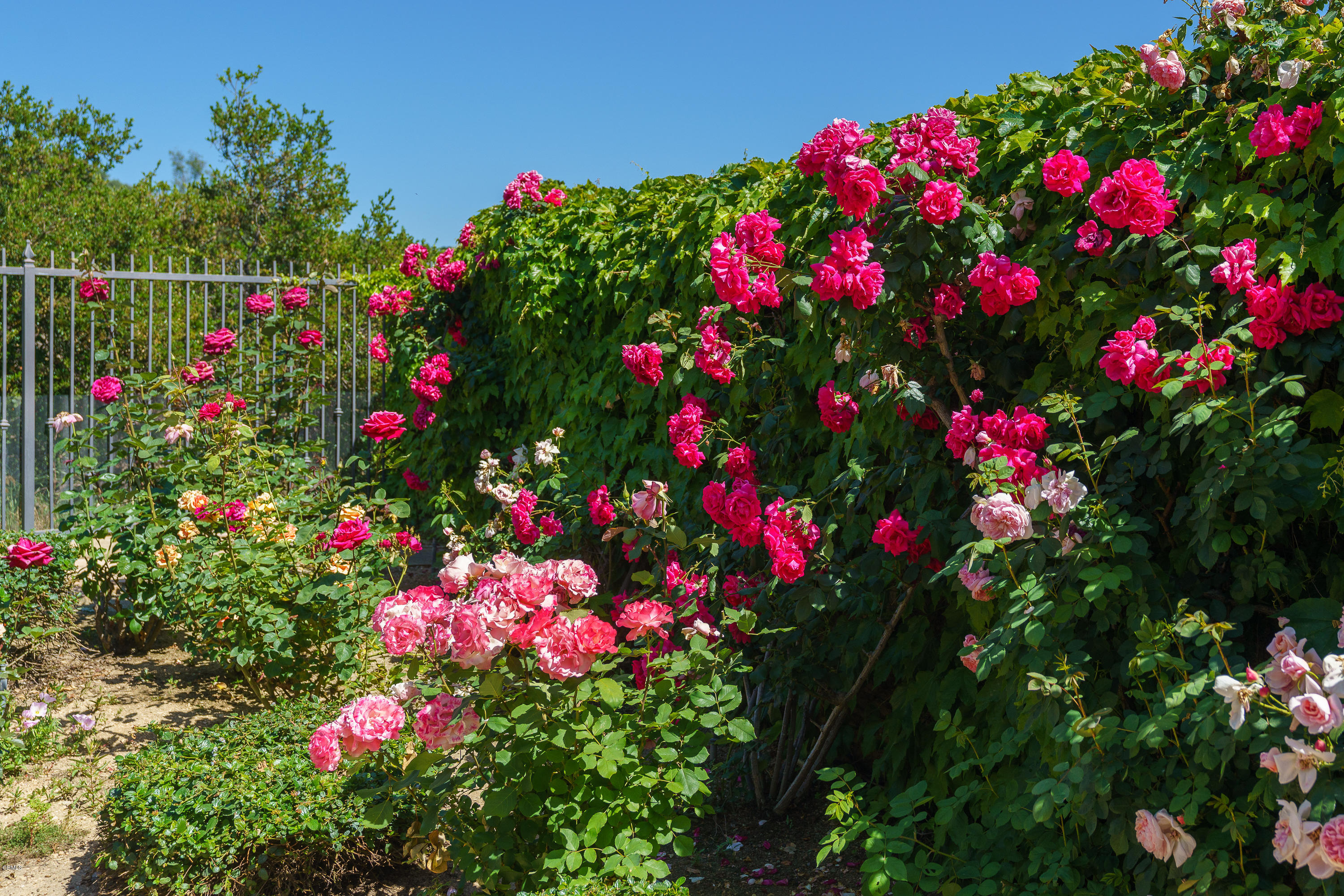 3718 Sunset Ridge Road Altadena, CA 91001 - Photo 50 of 65 egpimaging_3718SunsetRidgeEXT_011_FLEXML