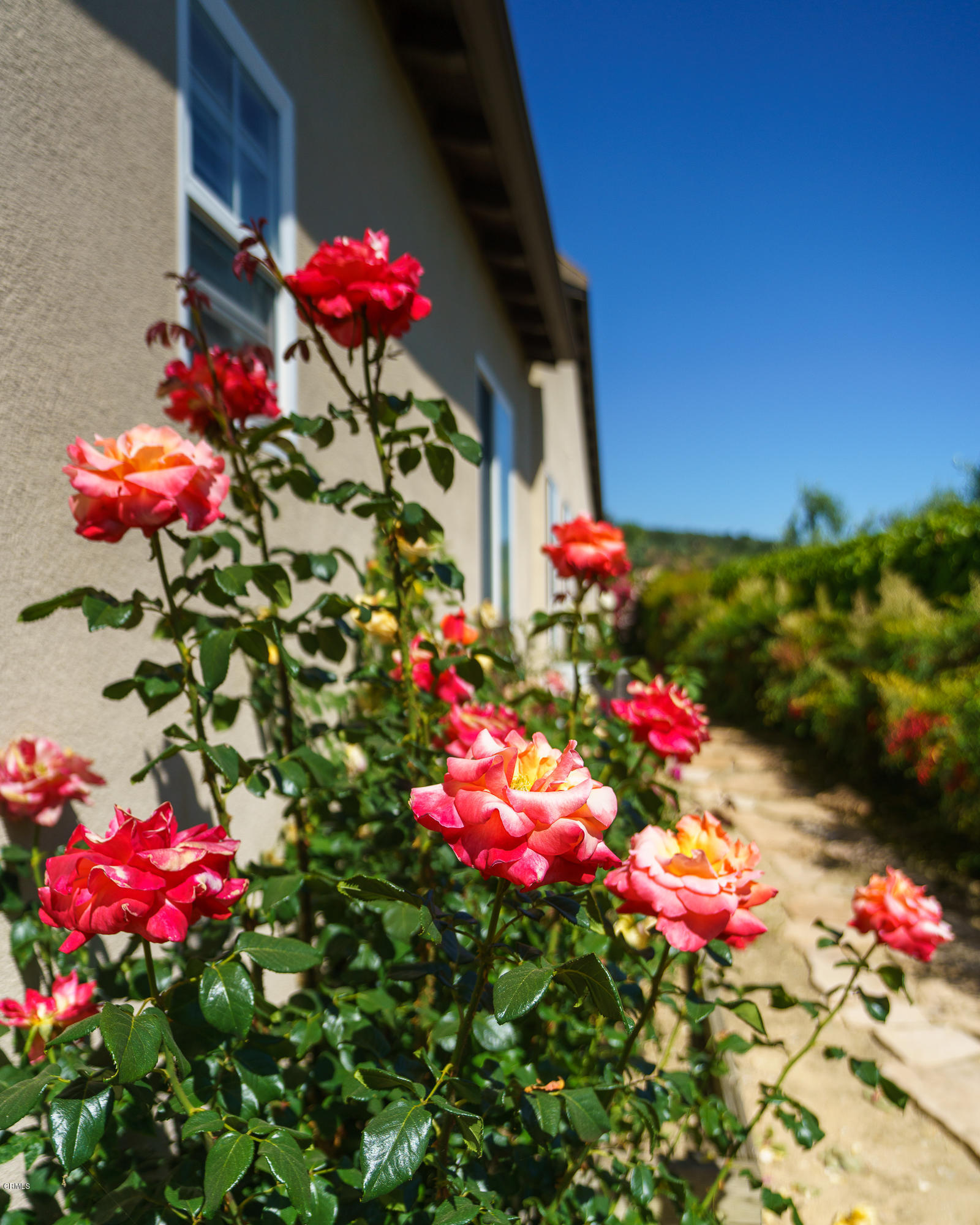 3718 Sunset Ridge Road Altadena, CA 91001 - Photo 54 of 65 egpimaging_3718SunsetRidgeEXT_018_FLEXML