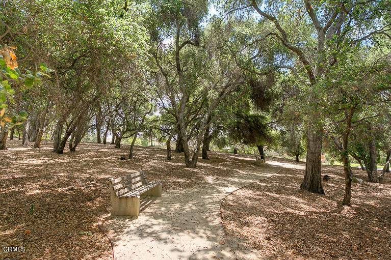 3718 Sunset Ridge Road Altadena, CA 91001 - Photo 61 of 65 egpimaging_LaVinaExteriors052014_028_MLS