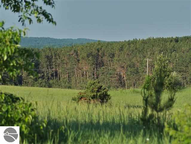 4950 South Schomberg Road Cedar, MI 49621 - Photo 9 of 35 1748123-8.JPG