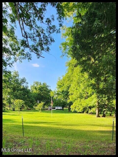 5089 Sees Chapel Road Crenshaw, MS 38621 - Photo 6 of 52 5089 SEES CHAPEL - KORI A