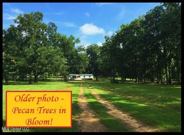 $220,000 | 5089 Sees Chapel Road, Crenshaw, MS 38621