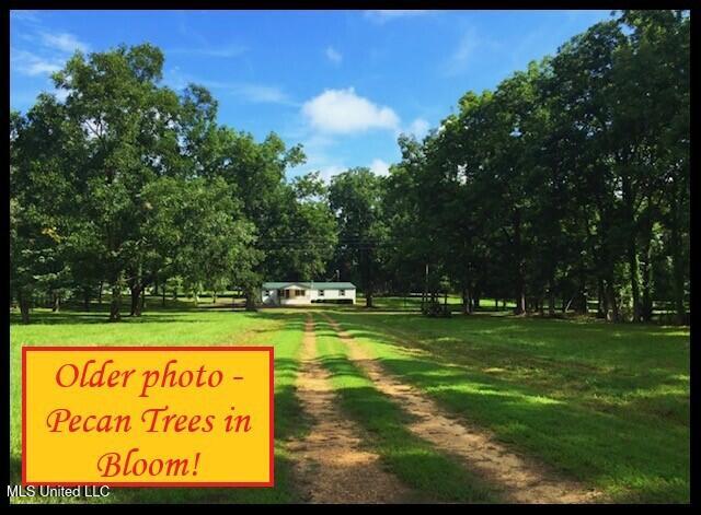 5089 Sees Chapel Road Crenshaw, MS 38621 - Photo 6 of 59 5089 SEES CHAPEL - OLDER PIC - A