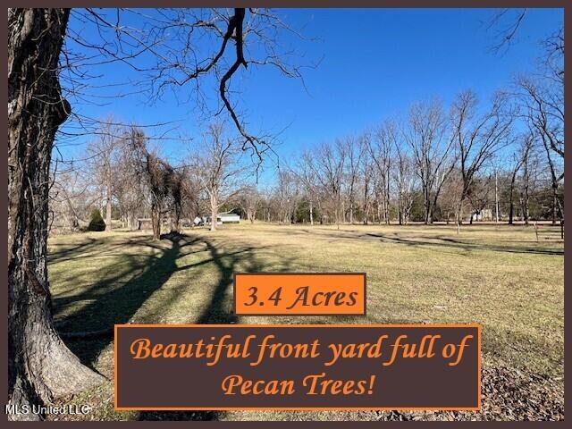 5089 Sees Chapel Road Crenshaw, MS 38621 - Photo 8 of 59 5089 SEES CHAPEL - FRONT YARD- PECAN TRE