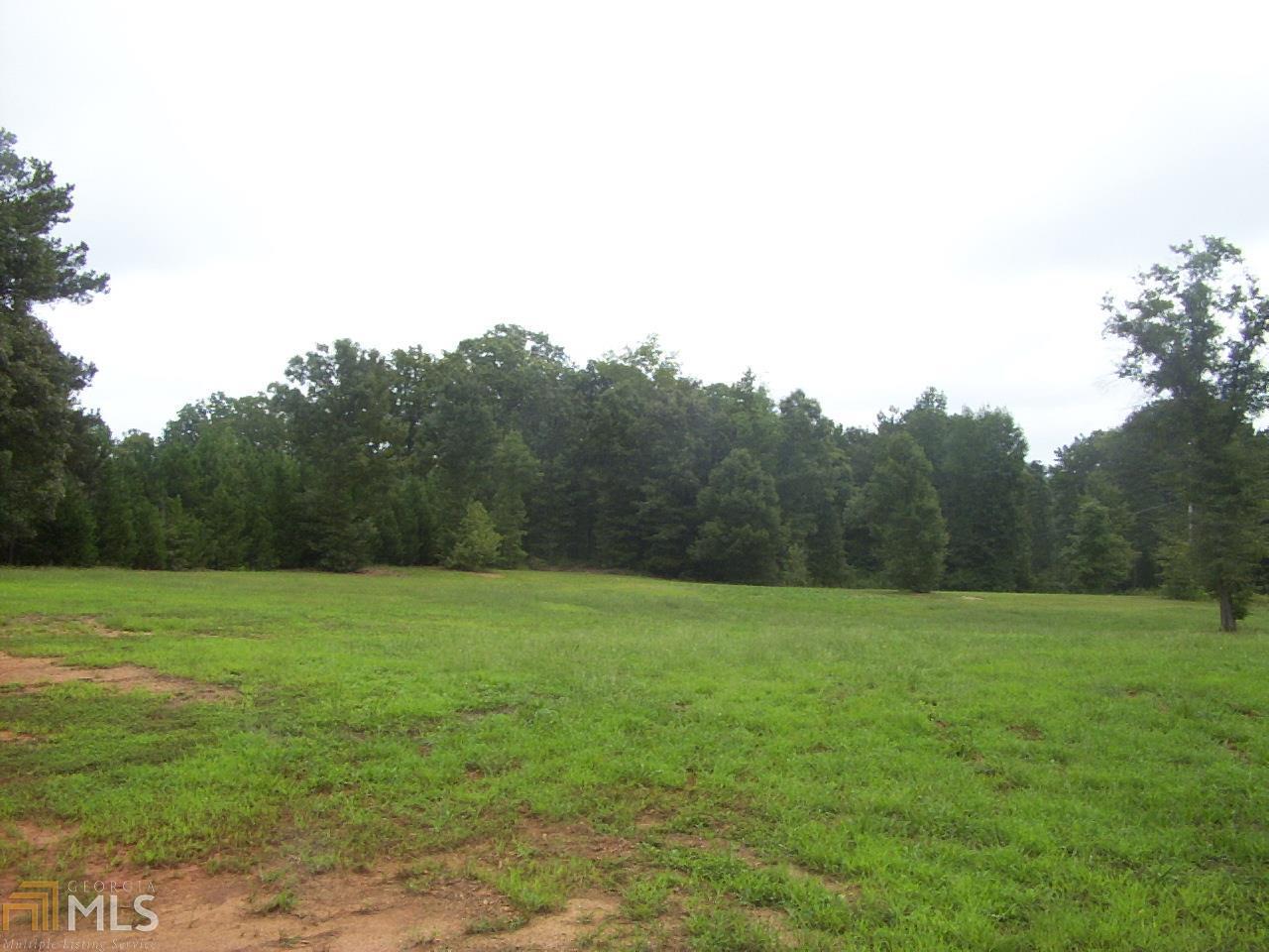 0 Nalley Road Villa Rica, GA 30180 - Photo 1 of 1
