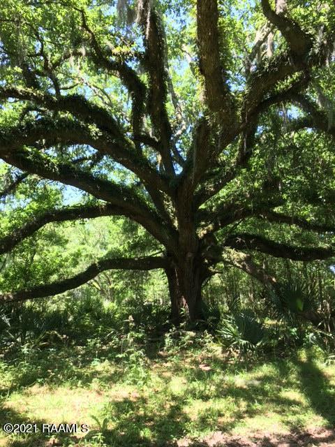 0 Michel Road Pierre Part, LA 70339 - Photo 2 of 7 IMG_6698