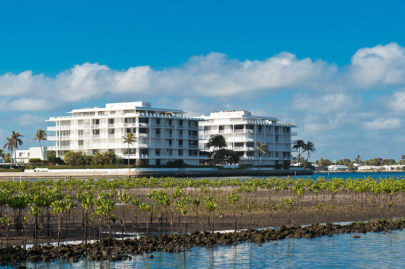 2155 Ibis Isle Road East, Unit TE Palm Beach, FL 33480 - Photo 22 of 39 Vallencay Tower East