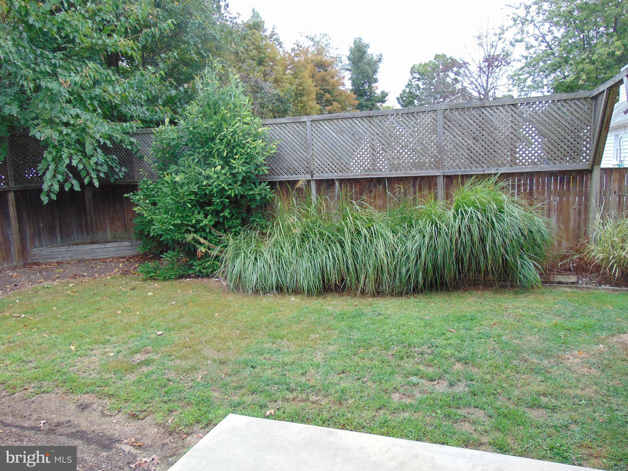 1710 Bayview Road Shady Side, MD 20764 - Photo 27 of 104 Backyard.