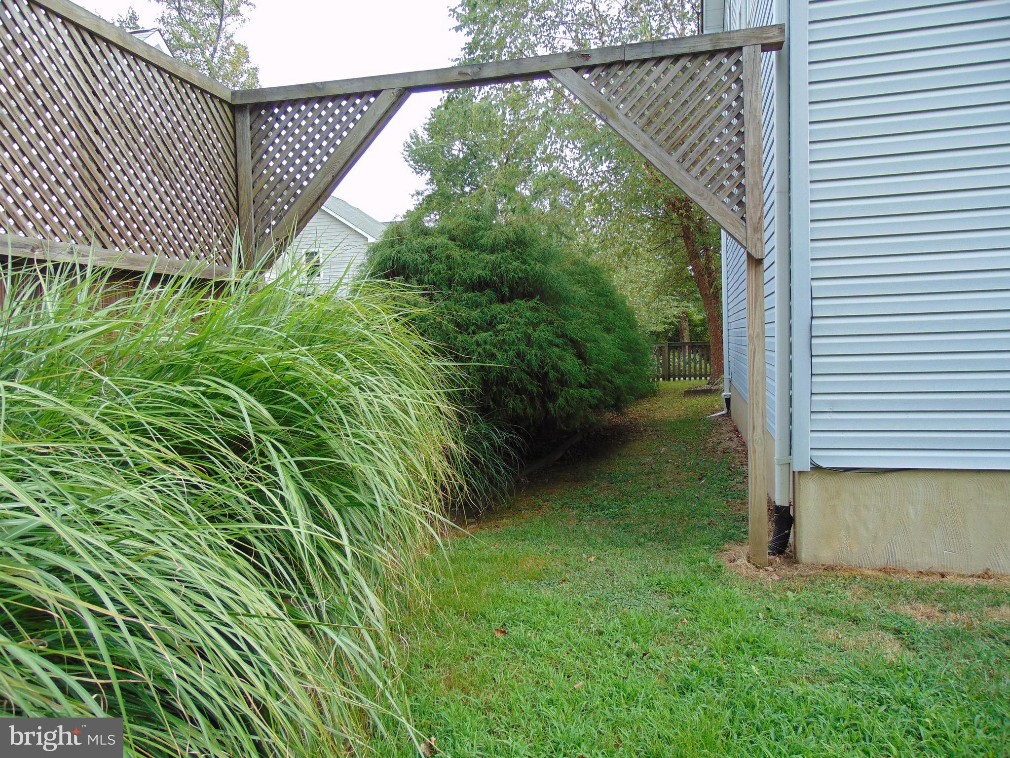 1710 Bayview Road Shady Side, MD 20764 - Photo 28 of 104 Backyard looking down the side of house.