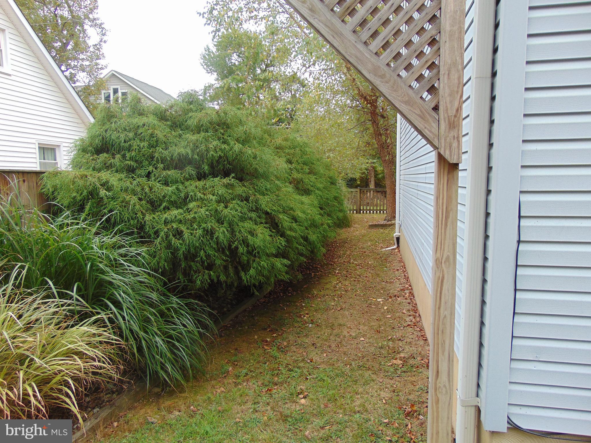 1710 Bayview Road Shady Side, MD 20764 - Photo 30 of 104 Side yard.