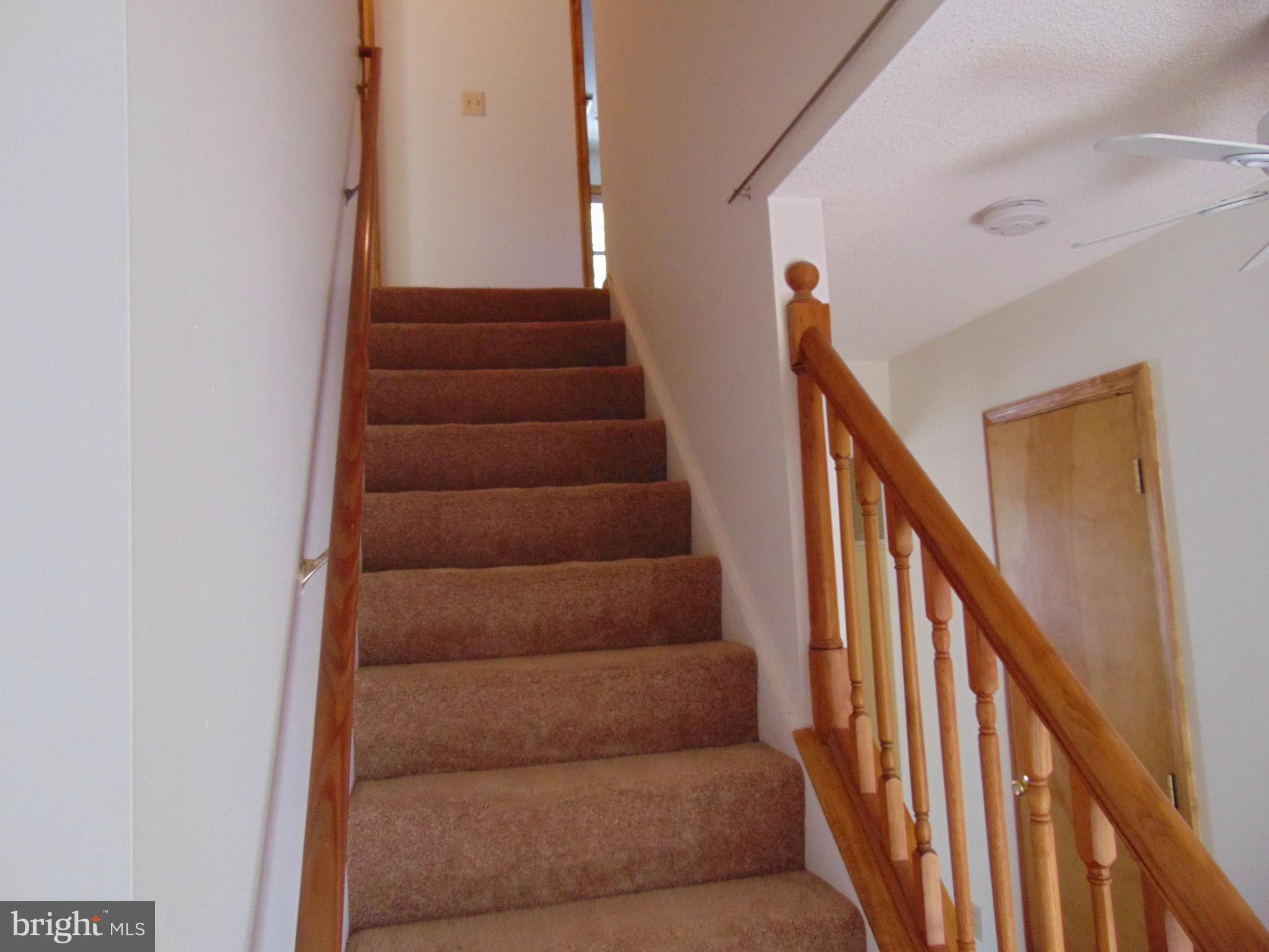 1710 Bayview Road Shady Side, MD 20764 - Photo 63 of 104 Newly carpeted stairs going upstairs.