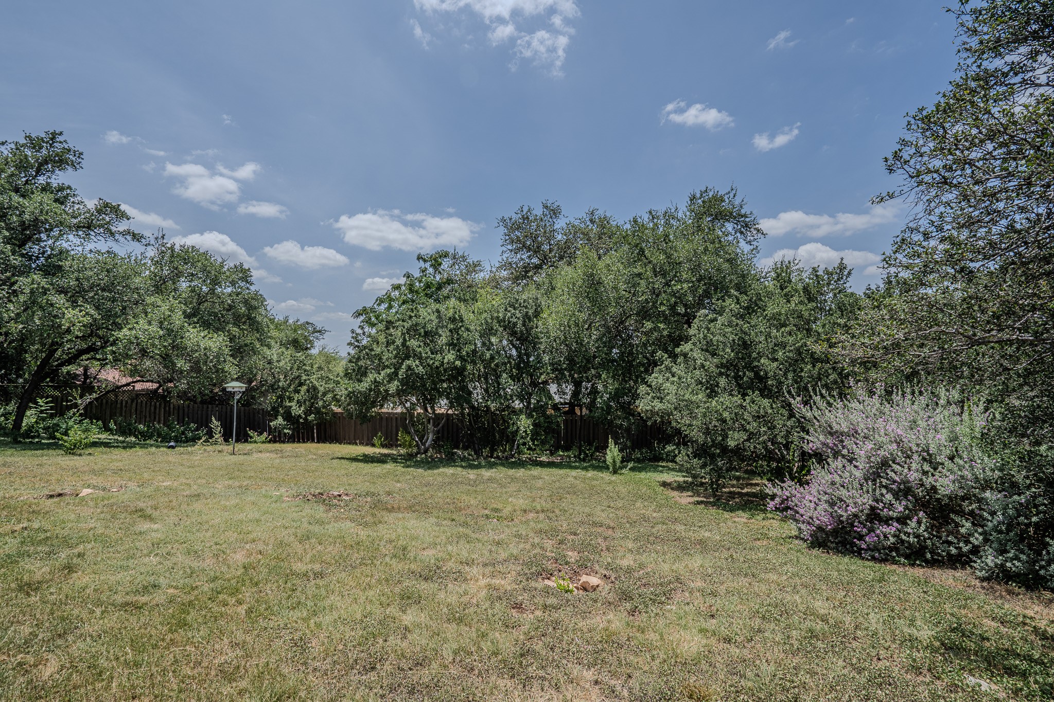 115 Snapper Street Lakeway, TX 78734 - Photo 30 of 30 A spacious, verdant yard enclosed by a wooden fence offers a private outdoor haven.