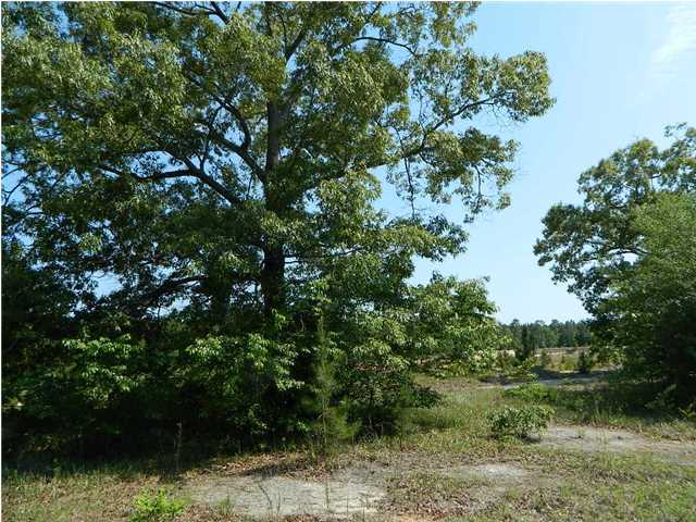 416 Davidson Tower Road Yemassee, SC 29945 - Photo 14 of 23 Additional Photo
