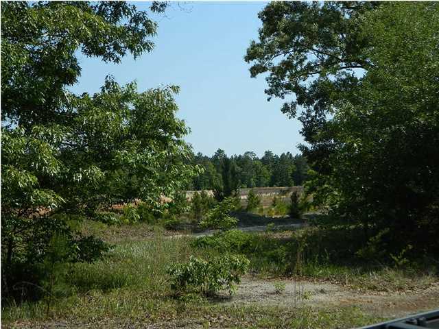 416 Davidson Tower Road Yemassee, SC 29945 - Photo 15 of 23 Additional Photo