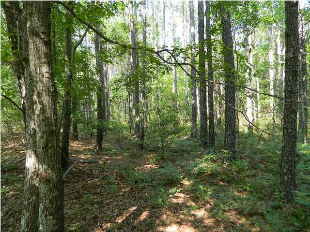 416 Davidson Tower Road Yemassee, SC 29945 - Photo 21 of 23 Additional Photo