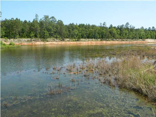 416 Davidson Tower Road Yemassee, SC 29945 - Photo 5 of 23 Additional Photo
