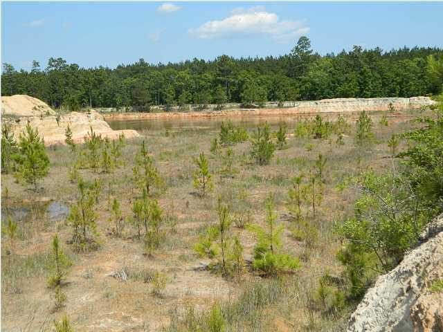 416 Davidson Tower Road Yemassee, SC 29945 - Photo 10 of 23 Additional Photo