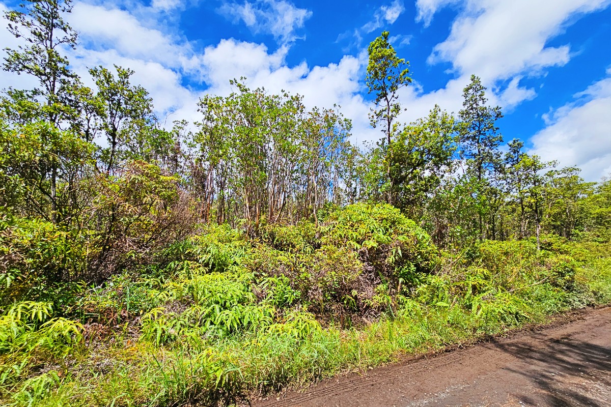 46 Ala Naulani Road Mountain View, HI 96771 - Photo 8 of 9 Gallery Image 8