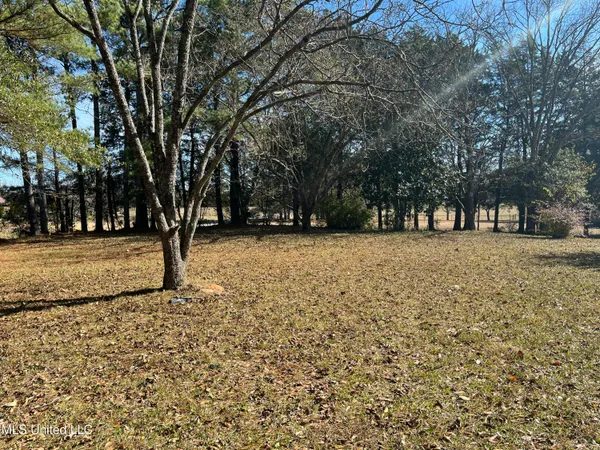 $190,000 | 1208 Cr 96 New Albany Ms 38652, New Albany, MS 38652