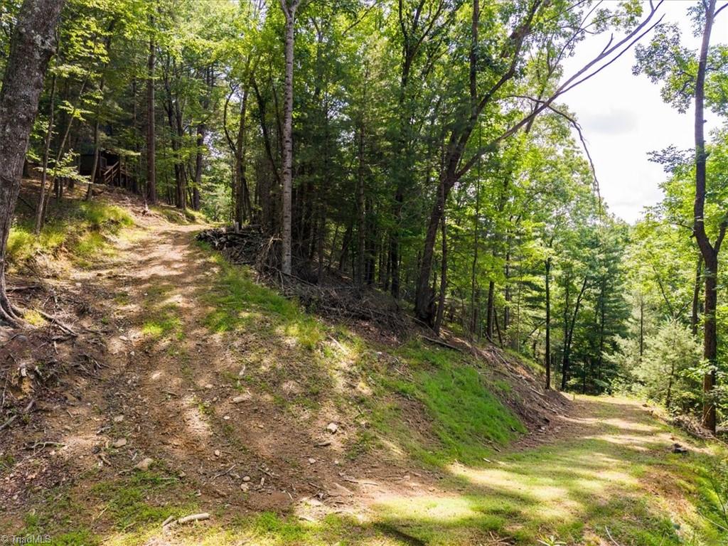 132 Sparks Ridge Lane Sparta, NC 28675 - Photo 26 of 30