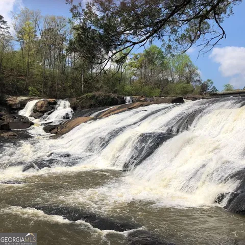 a view of a yard with a large tree