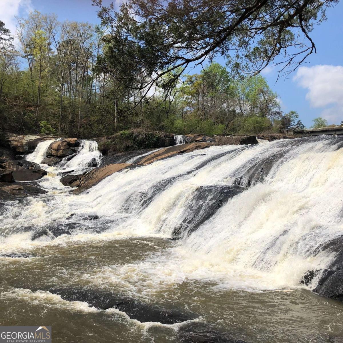 160 Rivers Edge Drive Forsyth, GA 31029 - Photo 5 of 9 a view of a yard with a large tree
