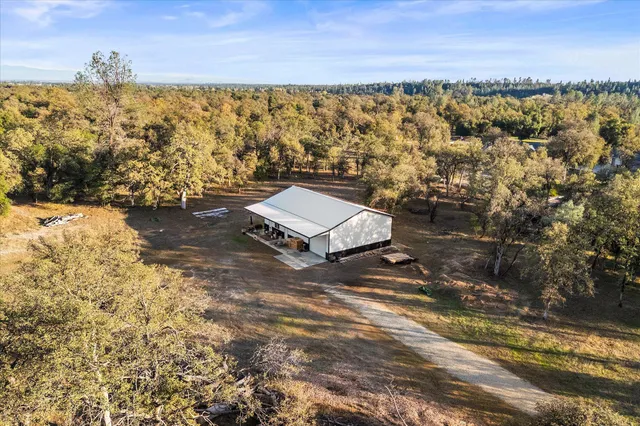 a view of a tree with a tree