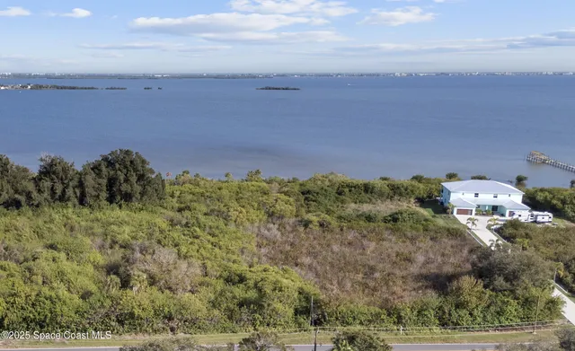 a view of a bunch of trees