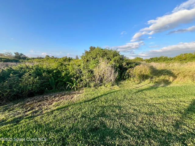 a view of a green yard