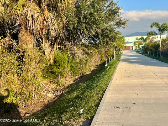 a view of the garden