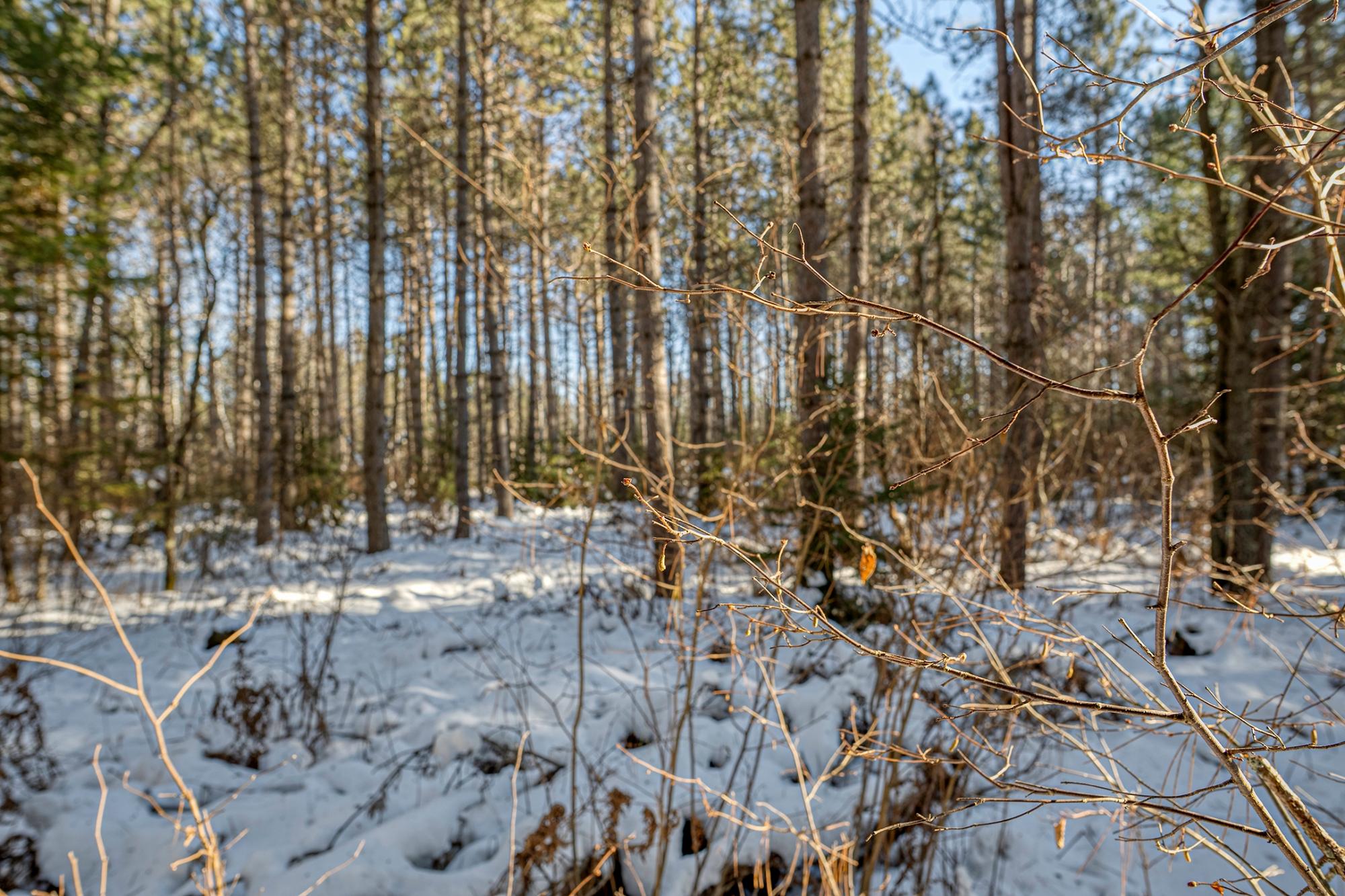 Off Deerskin Road, Unit LOT 5 Eagle River, WI 54521 - Photo 11 of 26 Gallery Image 11