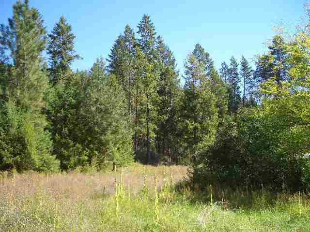 3146 Red Marble Road Chewelah, WA 99109 - Photo 5 of 9 Gallery Image 5