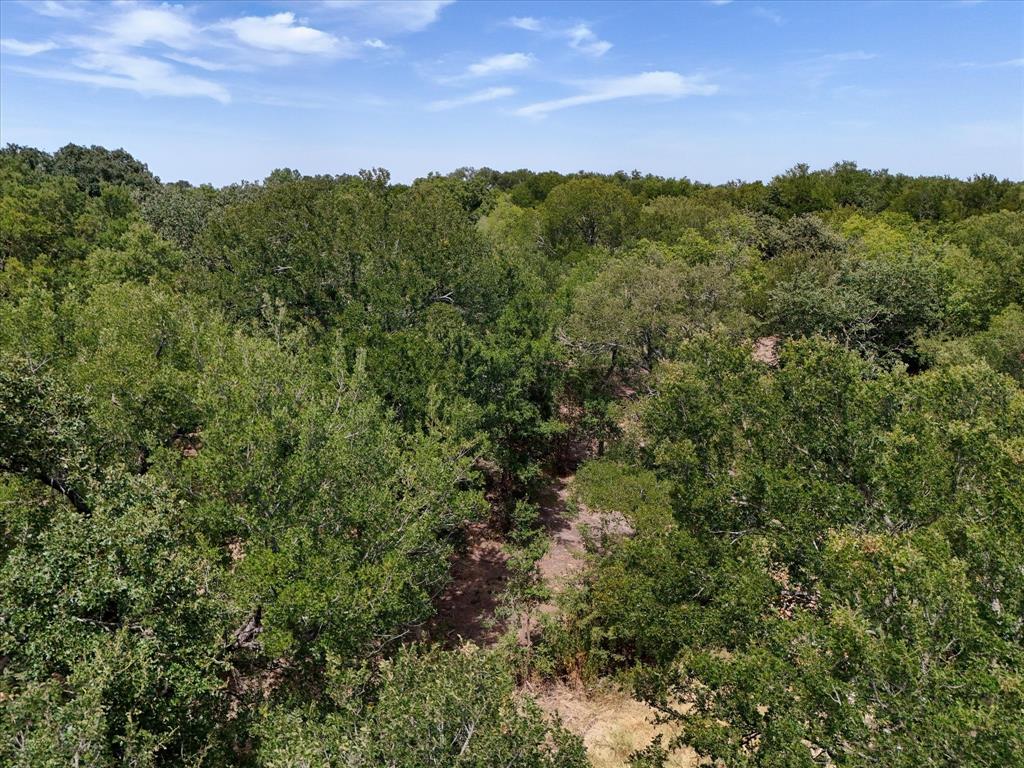 Tbd000 Williams Road Waco, TX 76705 - Photo 3 of 15 Expansive wooded acreage featuring mature trees and natural terrain