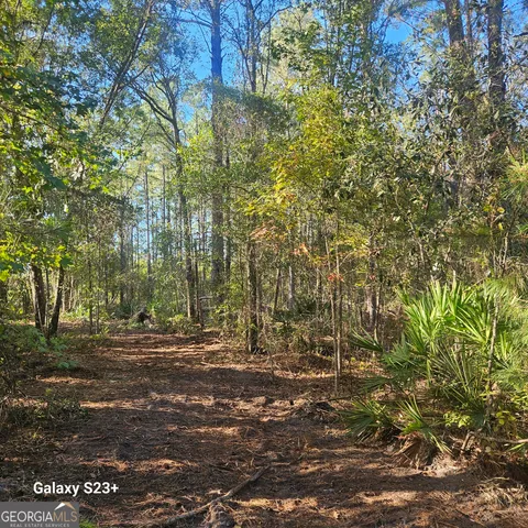 $111,000 | 0 Highway 67, Pembroke, GA 31321