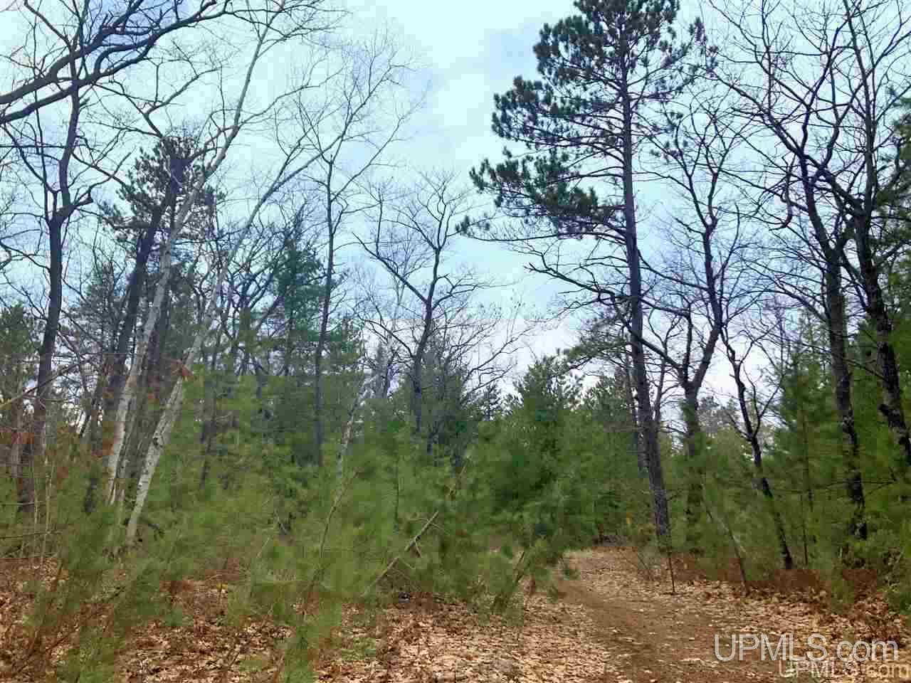 Tbd Valley Road Marquette, MI 49855 - Photo 19 of 59