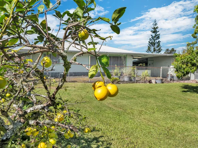 a backyard of a house with lots of green space