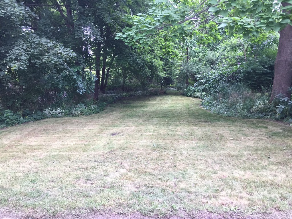 24 Grapevine Avenue Lexington, MA 02421 - Photo 9 of 10