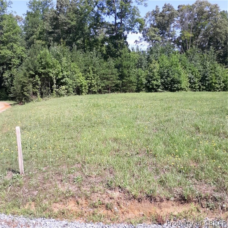 0 Deer Park Road Champlain, VA 22438 - Photo 5 of 9