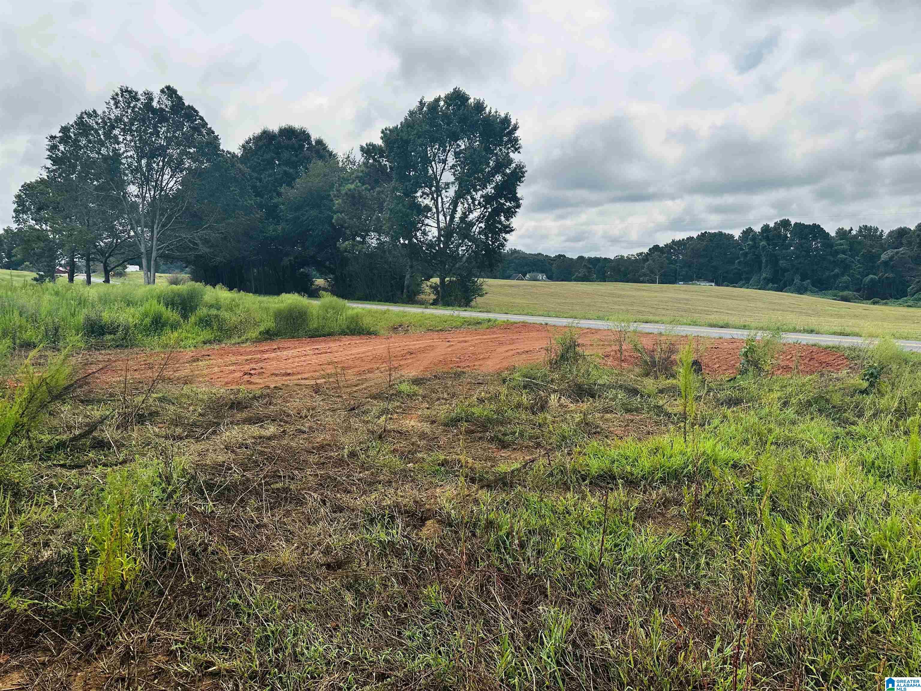 0 McVey Road Lineville, AL 36266 - Photo 7 of 7