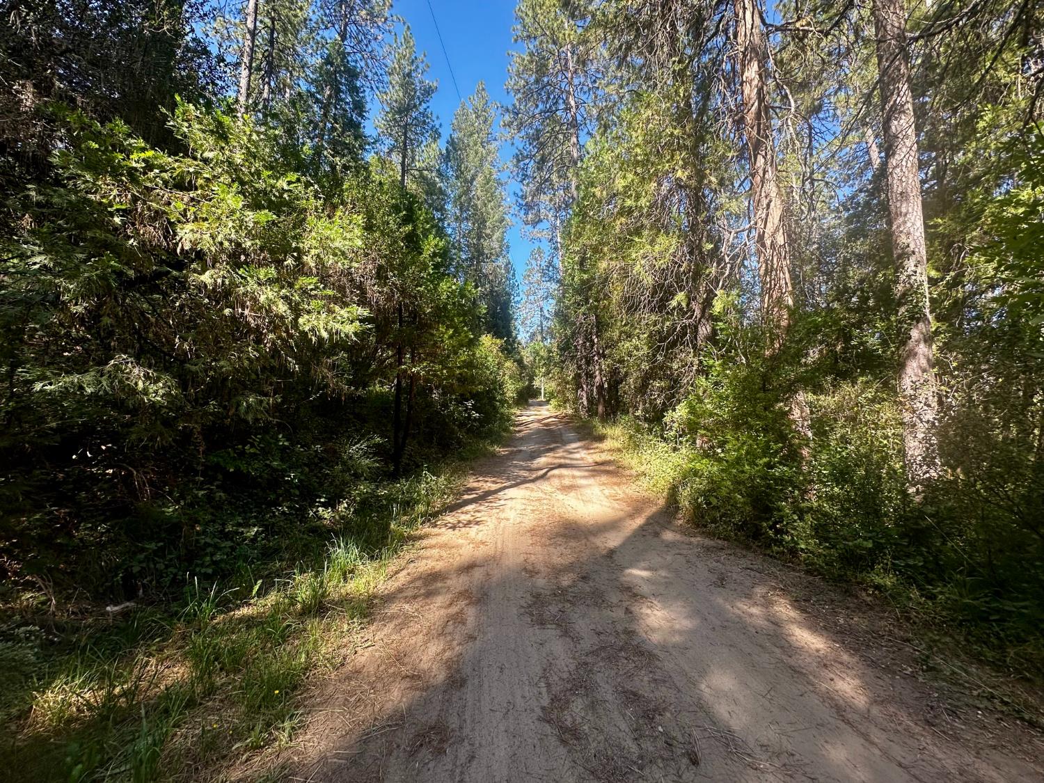 0 Dean Road Mount Aukum, CA 95656 - Photo 4 of 5