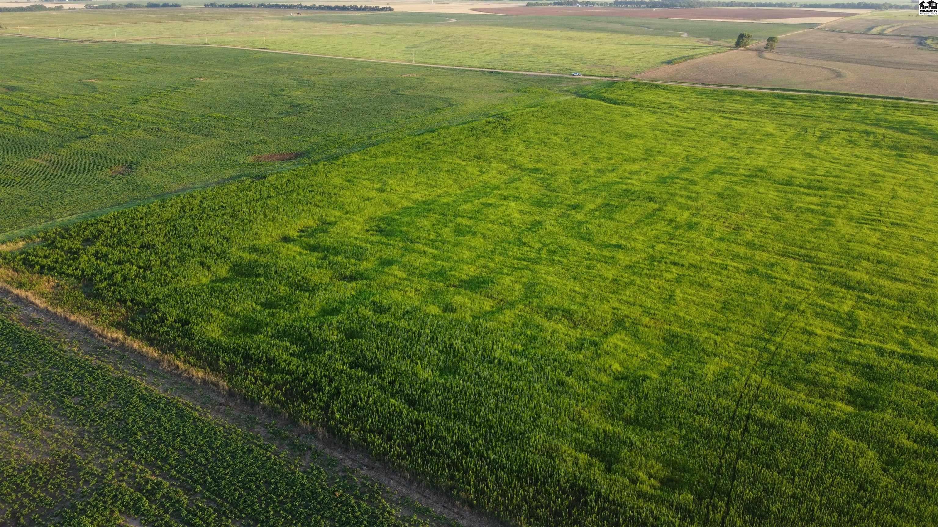 0 West Boundary Road Pretty Prairie, KS 67570 - Photo 3 of 14 Gallery Image 3