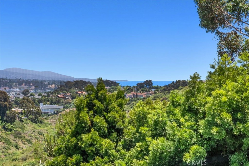 33296 Ocean Ridge Dana Point, CA 92629 - Photo 1 of 1 Panoramic canyon and ocean views!