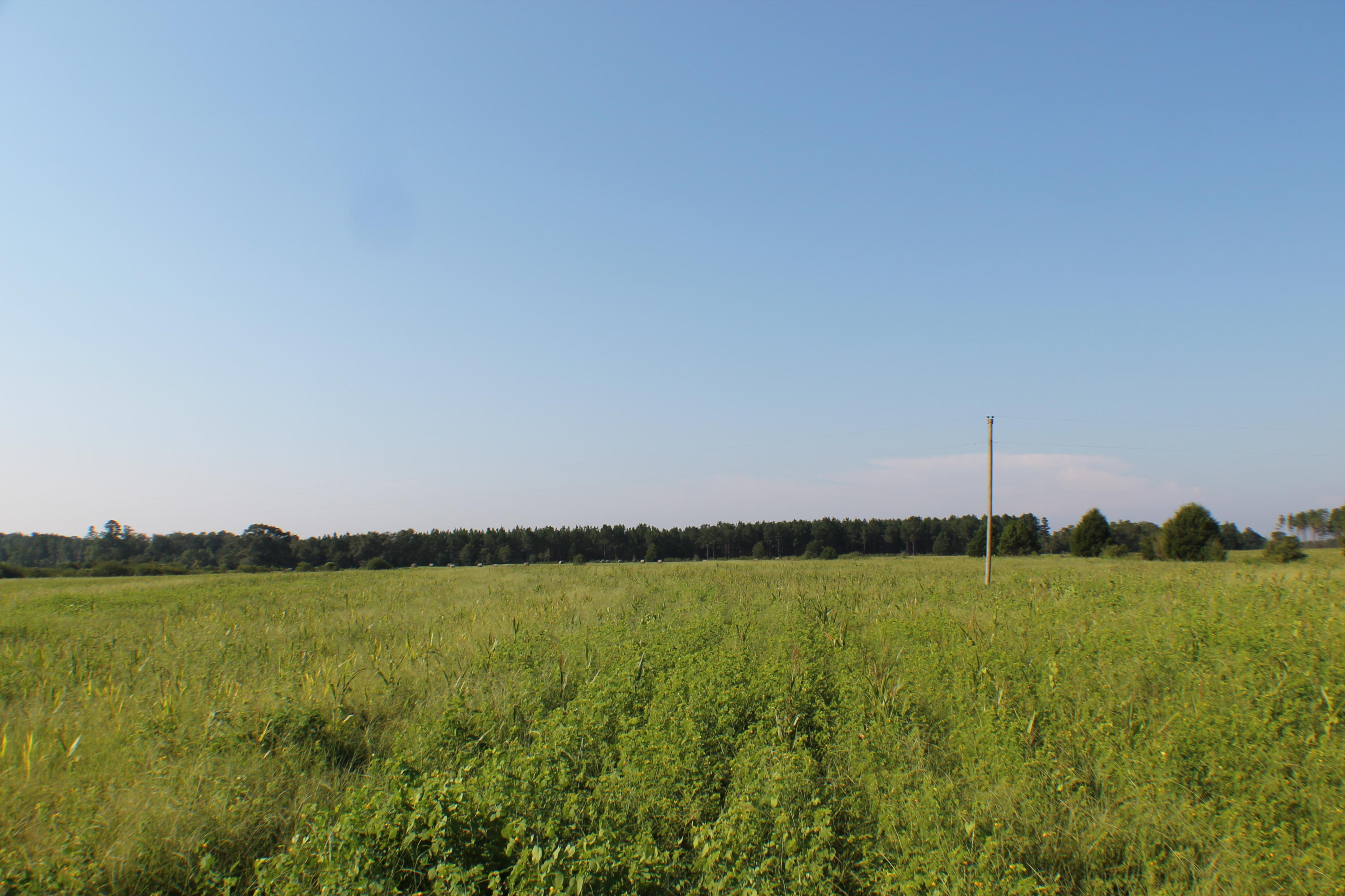 45-ac Williams Road DeFuniak Springs, FL 32433 - Photo 17 of 24 a view of a lake with a big yard