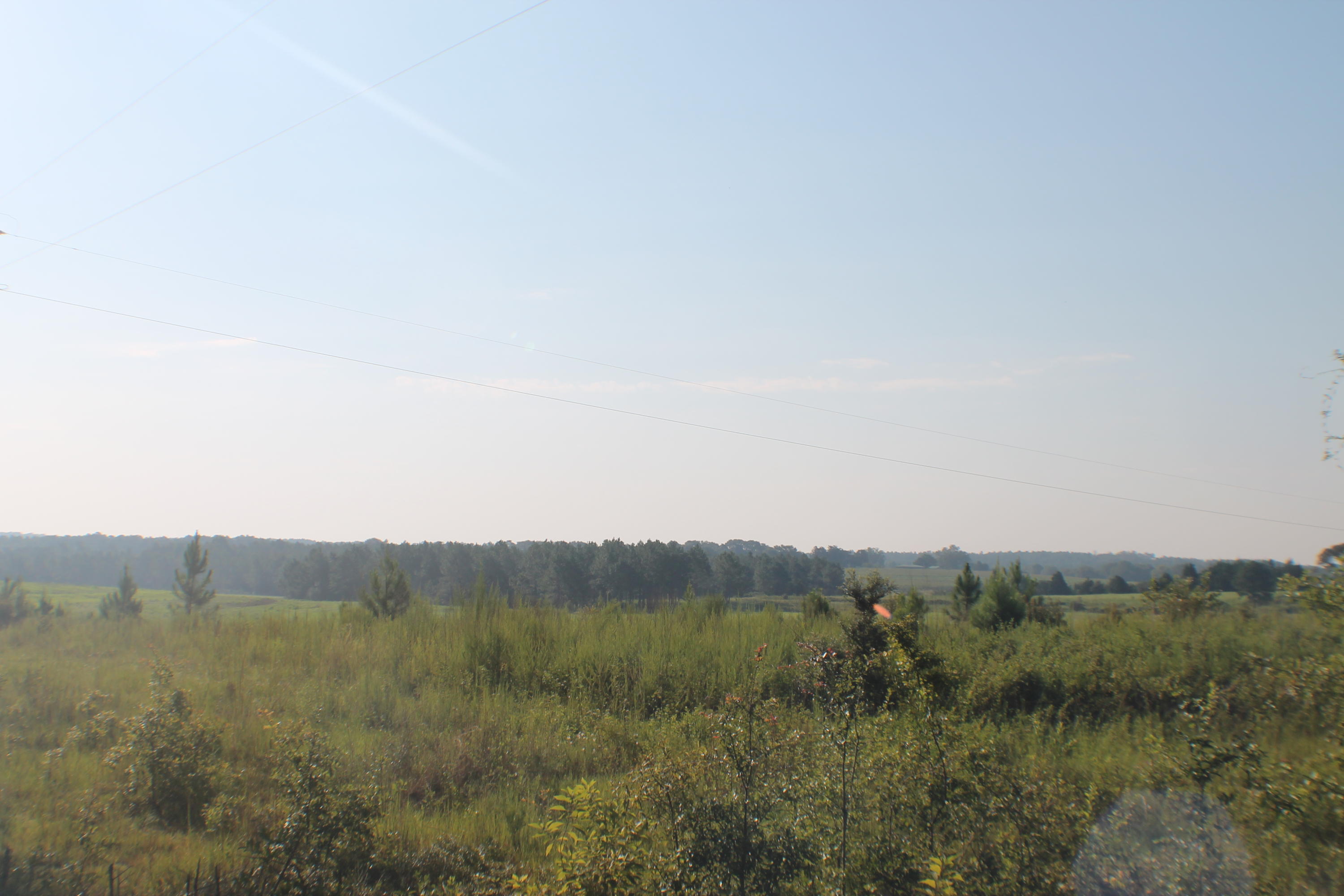 45-ac Williams Road DeFuniak Springs, FL 32433 - Photo 6 of 24 a view of a mountain range with lush green forest