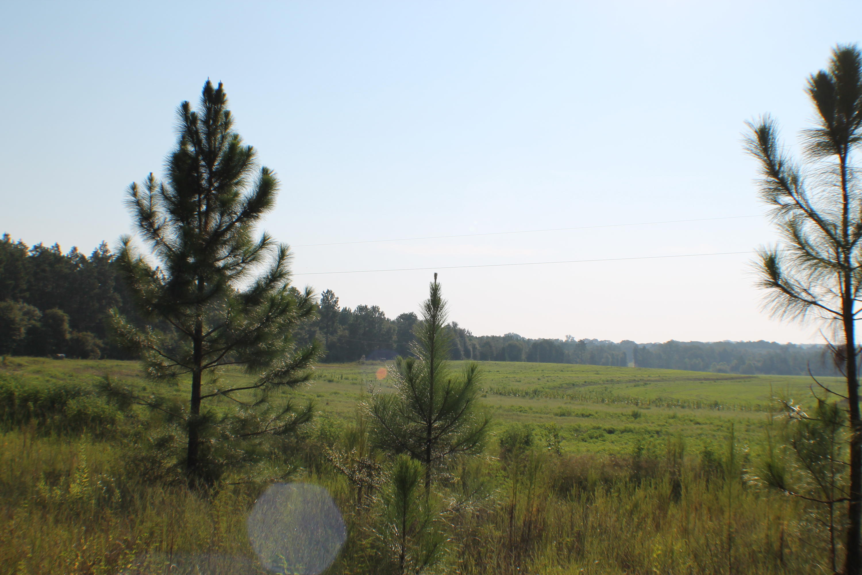 45-ac Williams Road DeFuniak Springs, FL 32433 - Photo 8 of 24 a view of mountain with lake view and mountain view