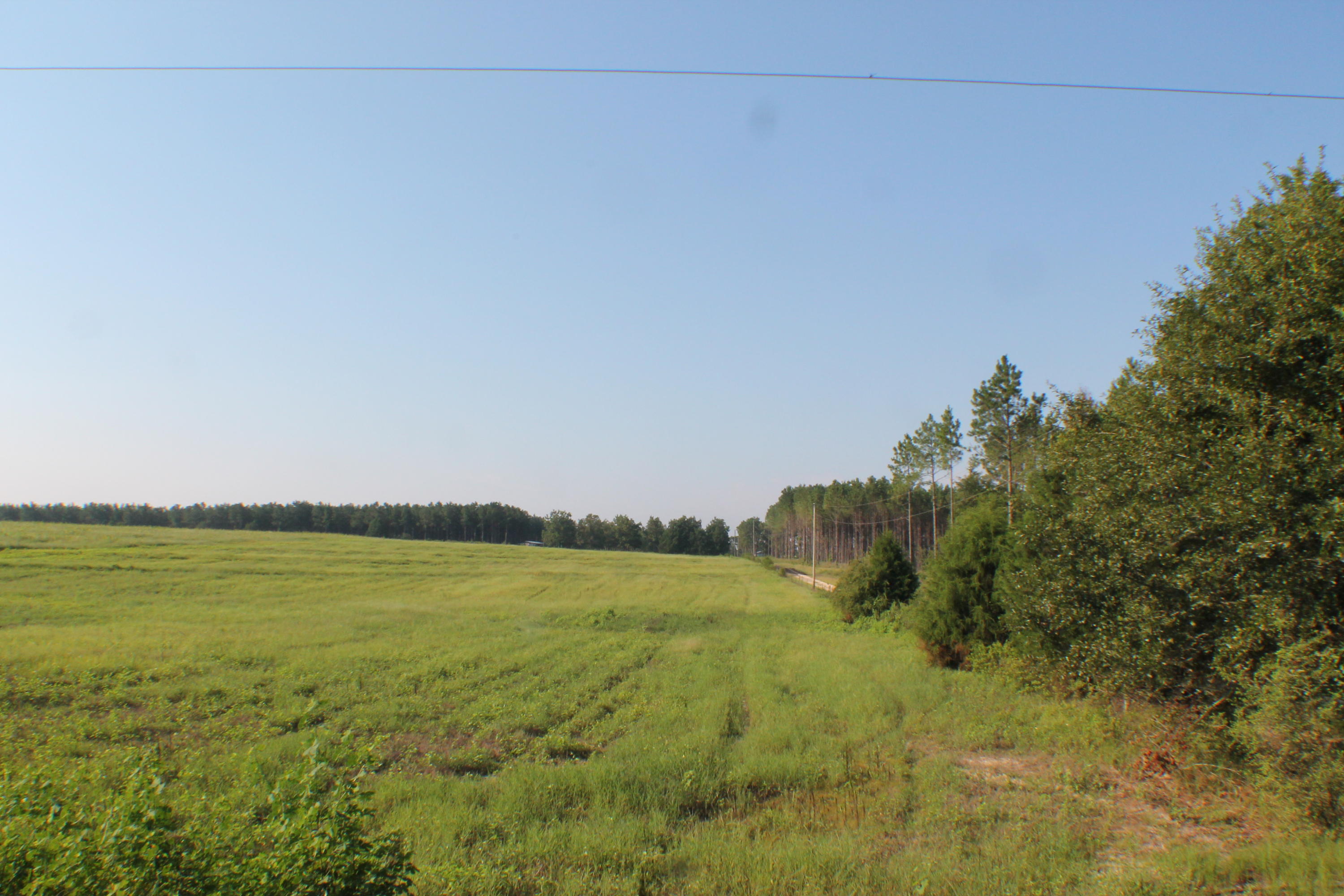45-ac Williams Road DeFuniak Springs, FL 32433 - Photo 9 of 24 a view of an ocean and beach