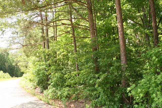 0 Nichols Road Powhatan, VA 23139 - Photo 2 of 7 Gallery Image 2